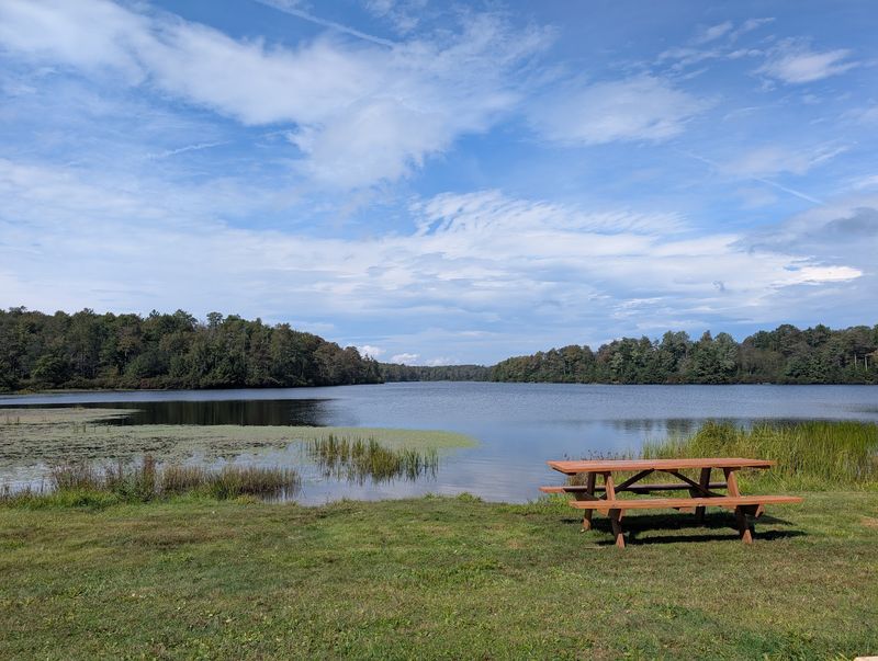 Picnic Spots and Grilling Stations