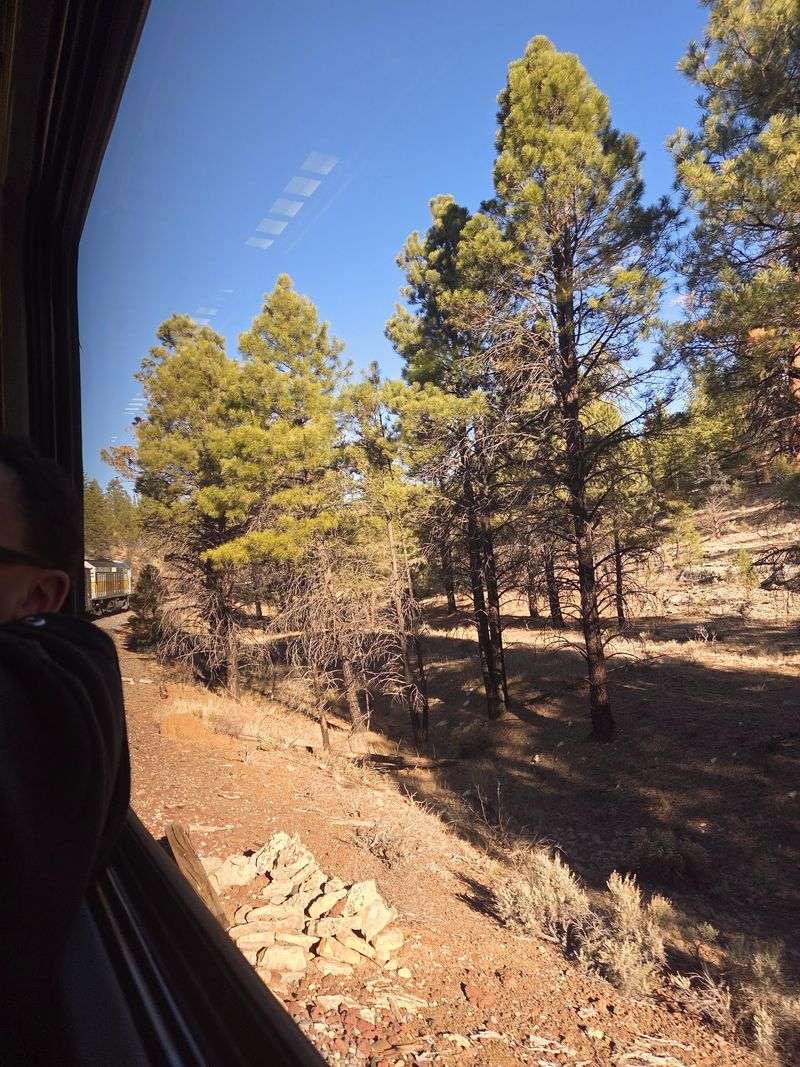 Planning Your Day On The Rails