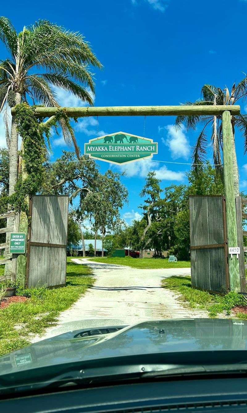 Planning Your Visit and the Drive In