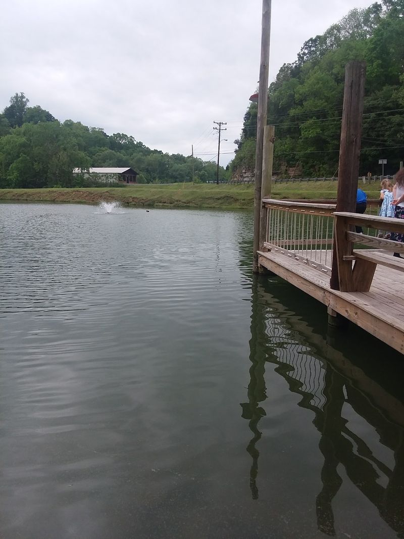 Ponds, Geese, and a Little Extra Charm Ponds, Geese, and a Little Extra Charm