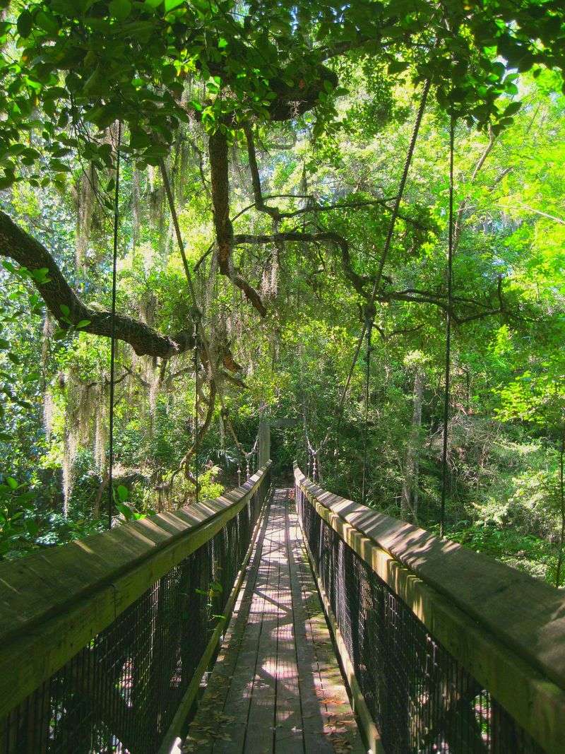 Ravine Gardens State Park, Palatka Ravine Gardens State Park, Palatka