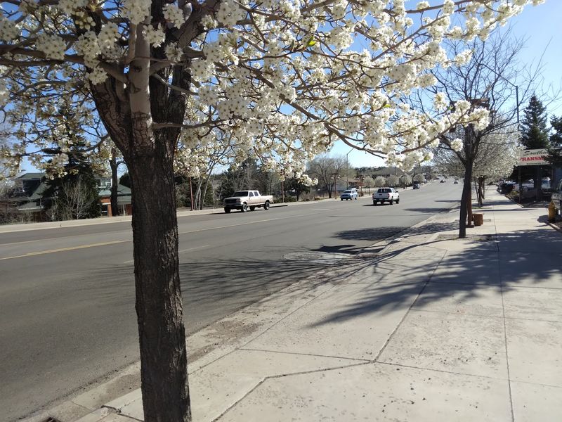 Retirement Budgets Benefit From Everyday Value Retirement Budgets Benefit From Everyday Value