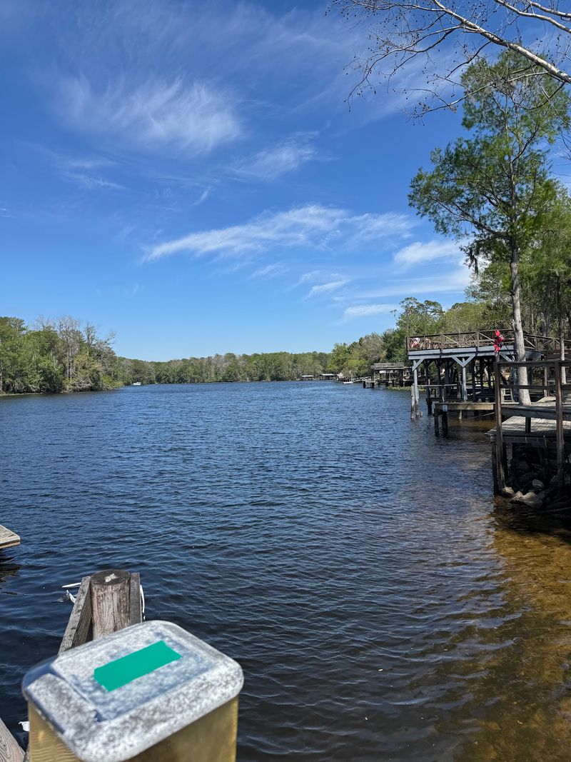 River Views From Every Seat