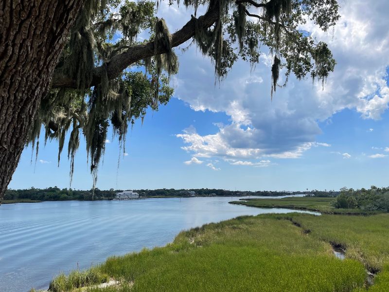 River Views, Manatees, and Wildlife River Views, Manatees, and Wildlife