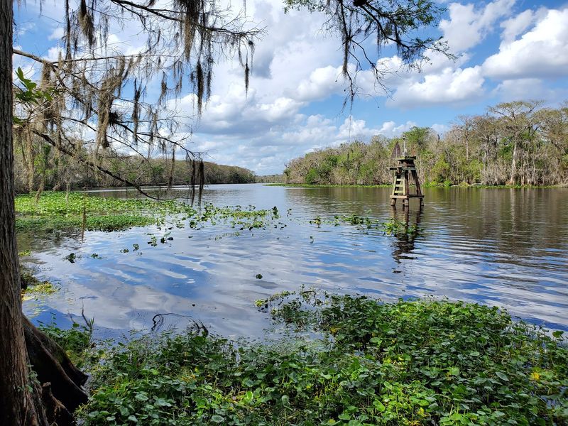 River Views and Shaded Canopy