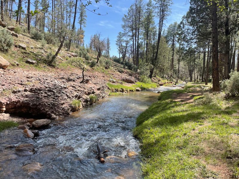 Riverside Campground, East Verde River, Payson