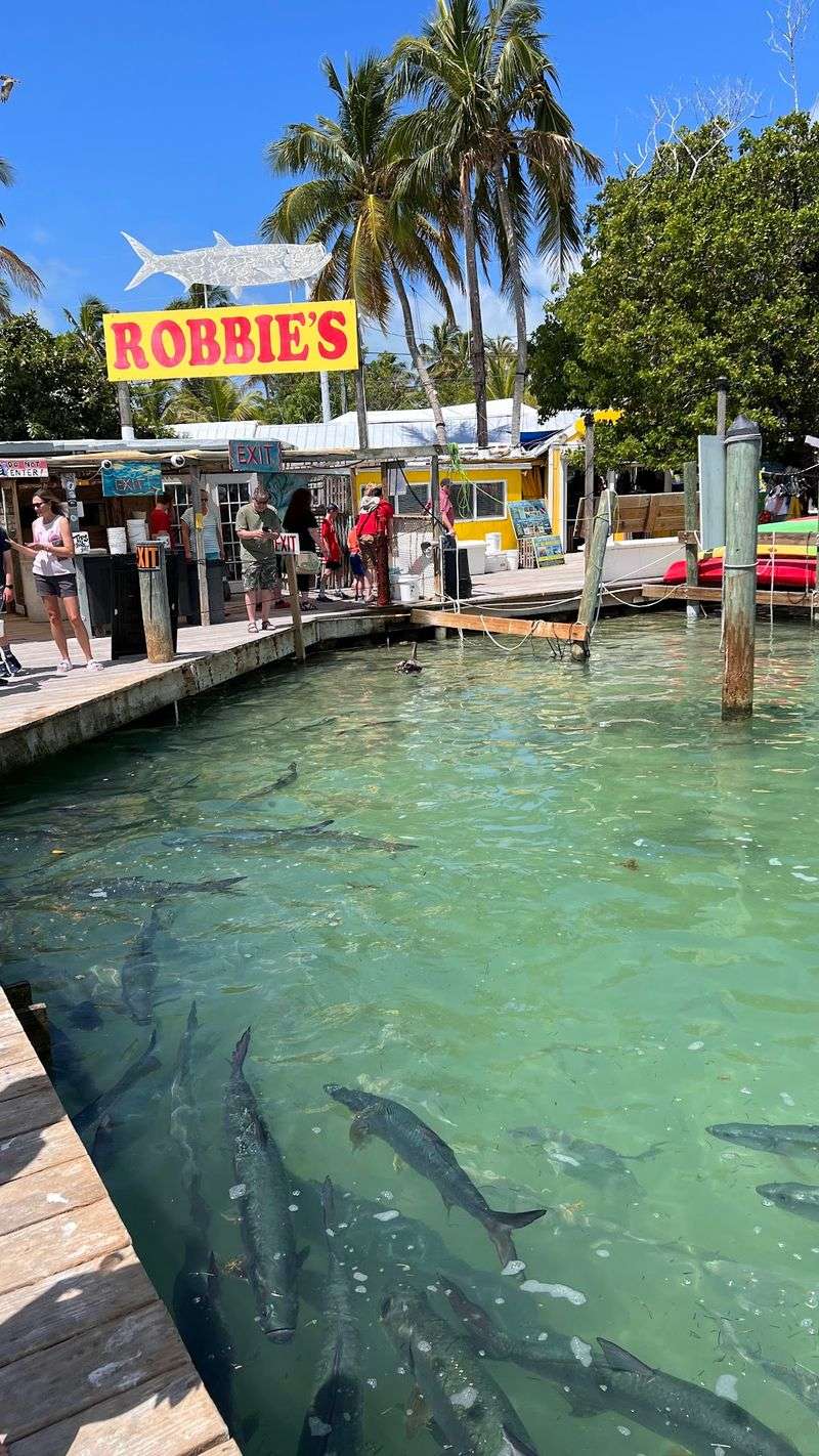 Robbie's of Islamorada, Islamorada Robbie's of Islamorada, Islamorada