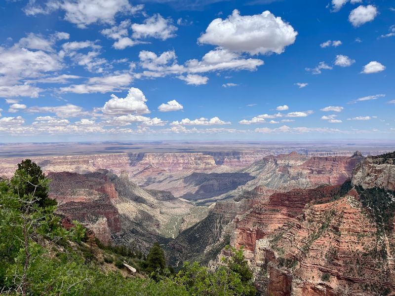 Roosevelt Point and Cape Royal, North Rim, Grand Canyon Roosevelt Point and Cape Royal, North Rim, Grand Canyon