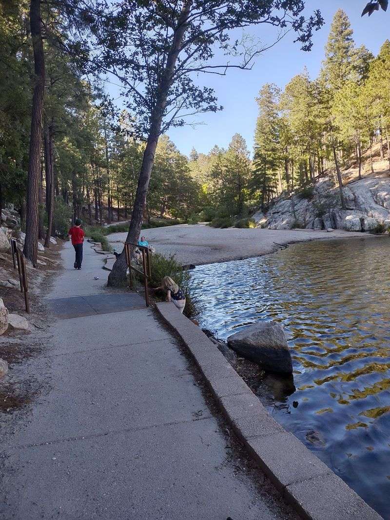Rose Canyon Campground, Mount Lemmon, Tucson