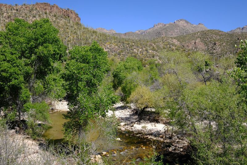 Sabino Canyon, Tucson Sabino Canyon, Tucson