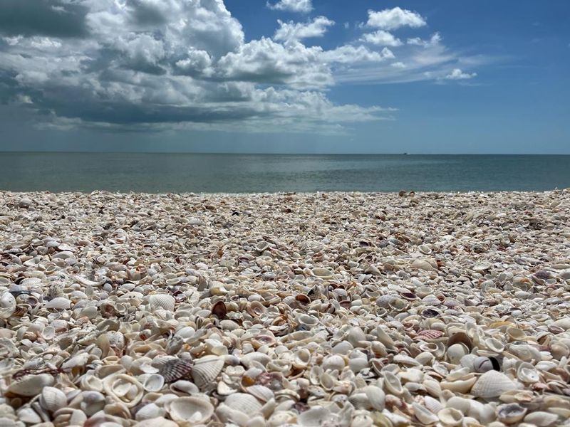 Sanibel Island (Bowman's Beach), Sanibel, Florida Sanibel Island (Bowman's Beach), Sanibel, Florida