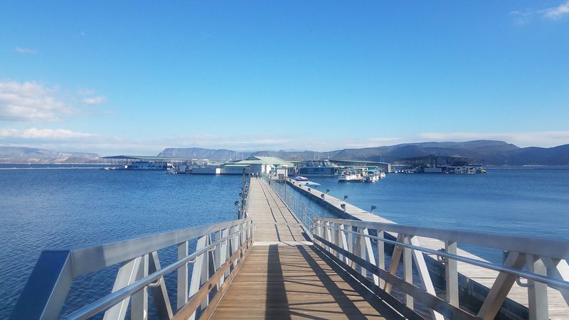 Scorpion Bay Marina and Waterfront Extras