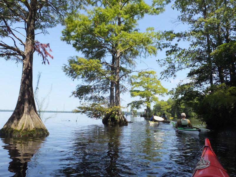 Shallow Water and the Sudden Chop of Windy Days