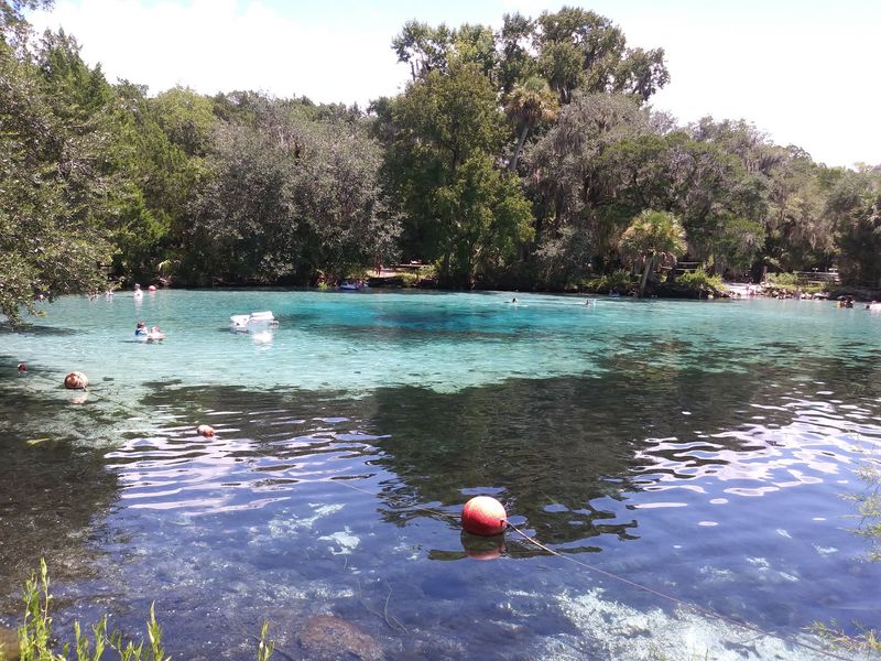 Silver Glen Springs, Salt Springs, Florida