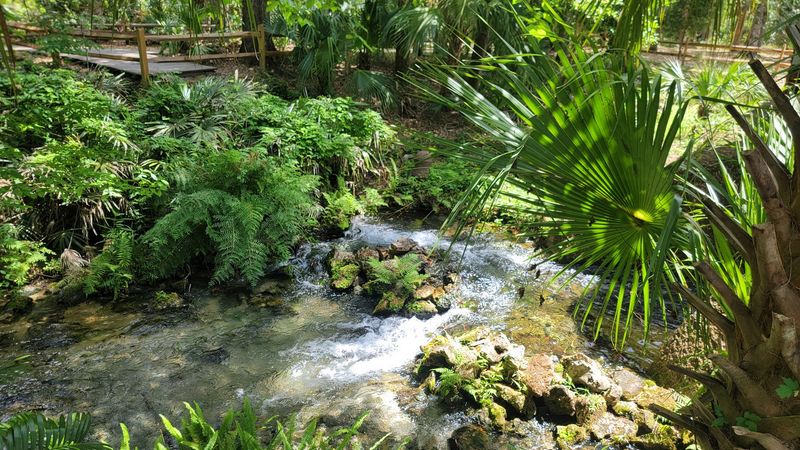 Small Rapids That Catch You Off Guard Small Rapids That Catch You Off Guard