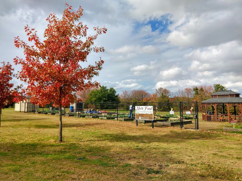 Small-Town Community and Slow Pace Small-Town Community and Slow Pace