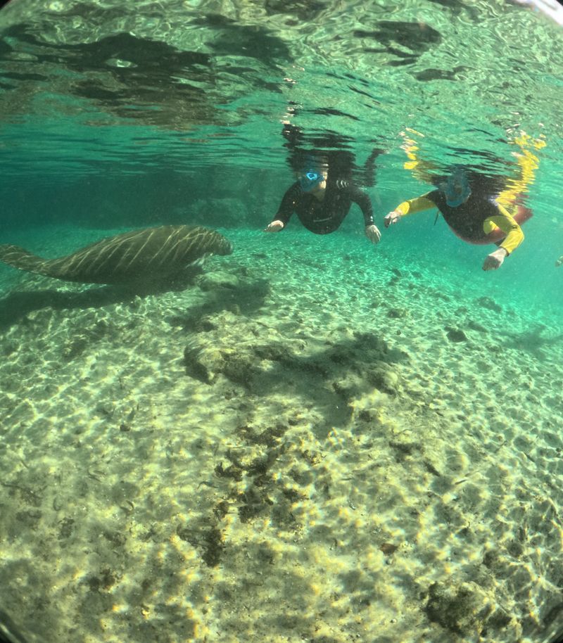 Snorkeling and Getting Into the Water the Right Way