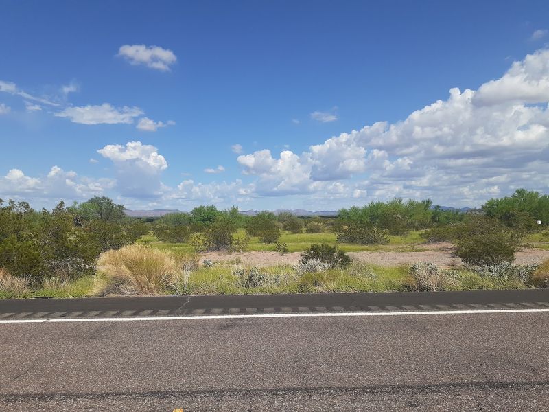 Sonoran Desert Scenery All Around Sonoran Desert Scenery All Around