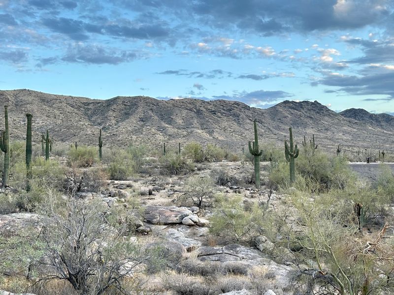 South Mountain Park and Preserve, Phoenix South Mountain Park and Preserve, Phoenix