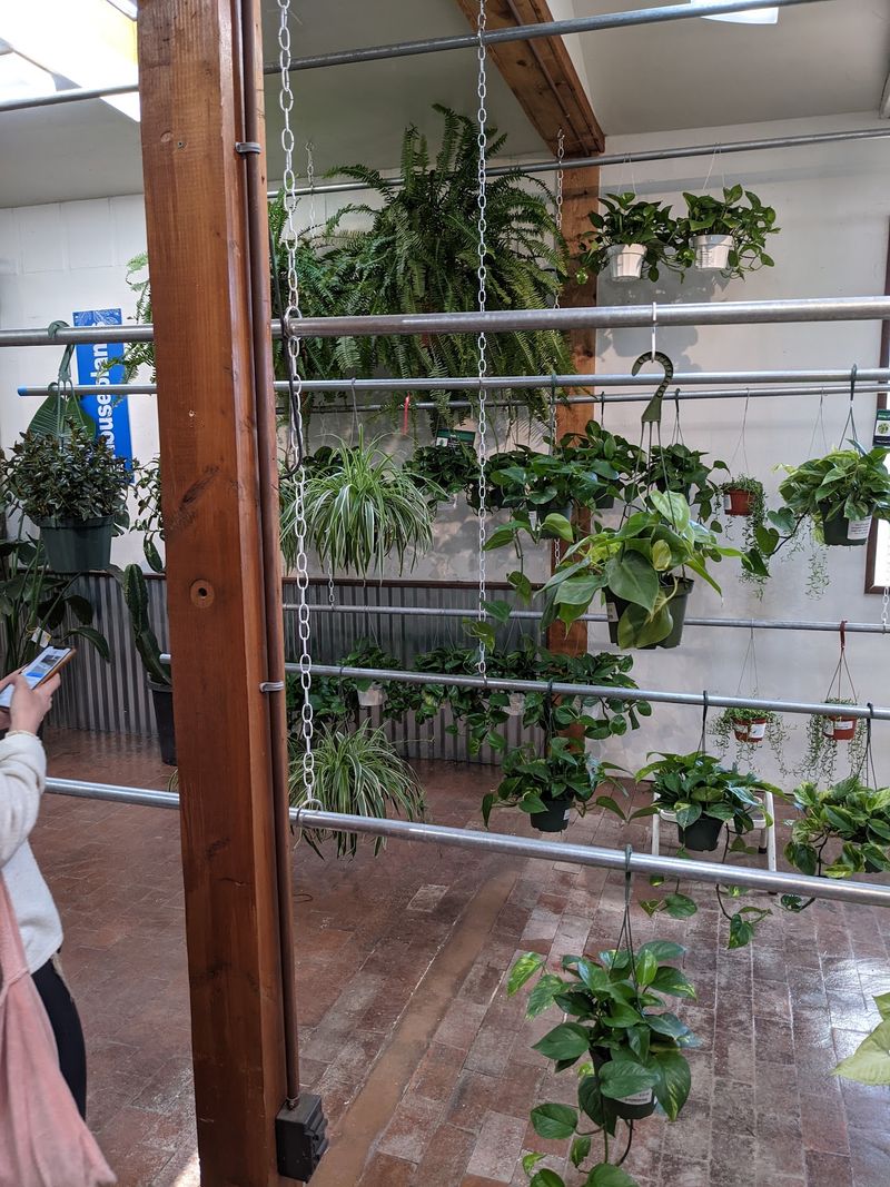 Staff Who Know Their Plants By Heart Staff Who Know Their Plants By Heart