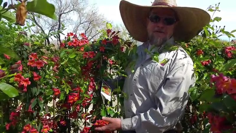 Staff Who Know Their Plants by Sight