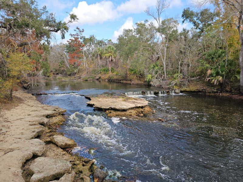 Steinhatchee Falls, Steinhatchee, Florida
