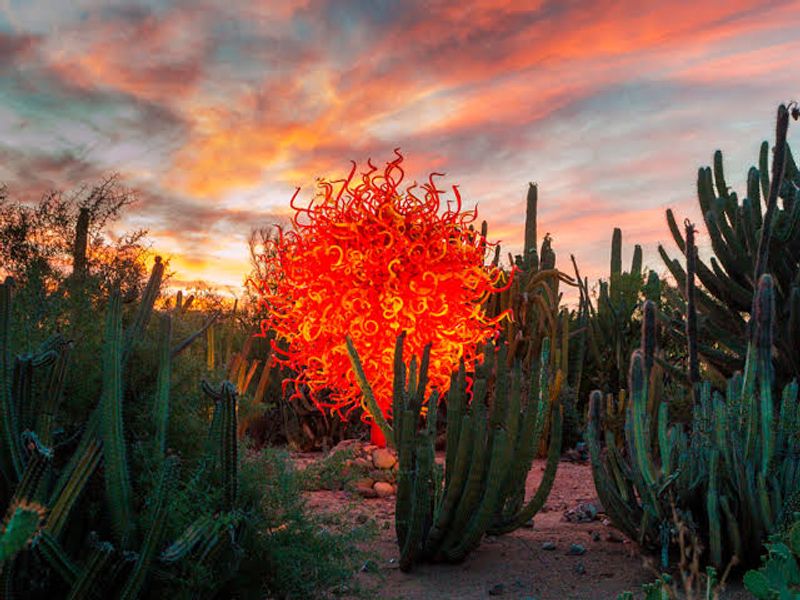 Summer Nights And The Shimmering Light Display