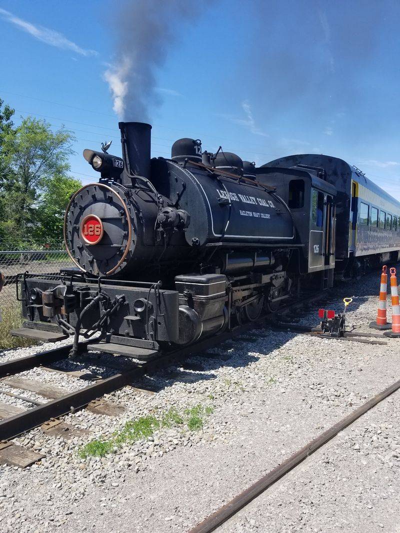 Summer Tours And The Little Mini Train