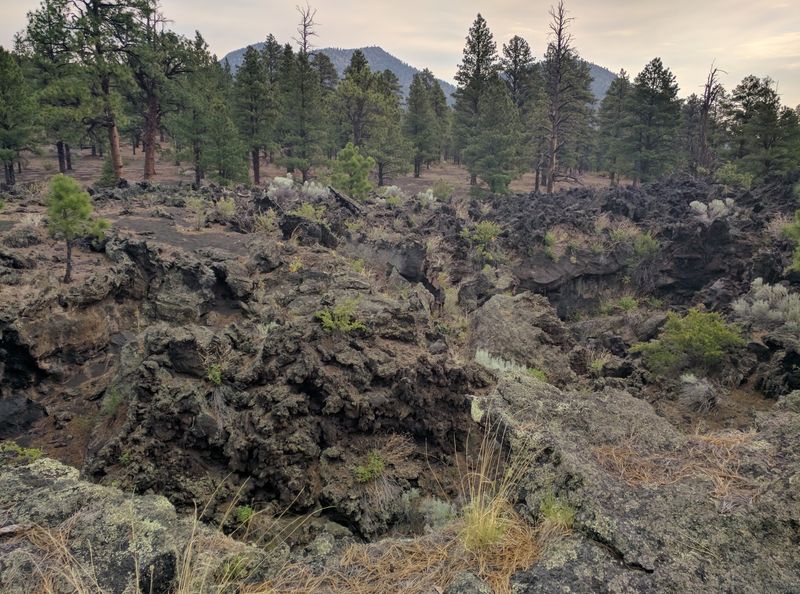 Sunset Crater / Bonito Campground, Flagstaff