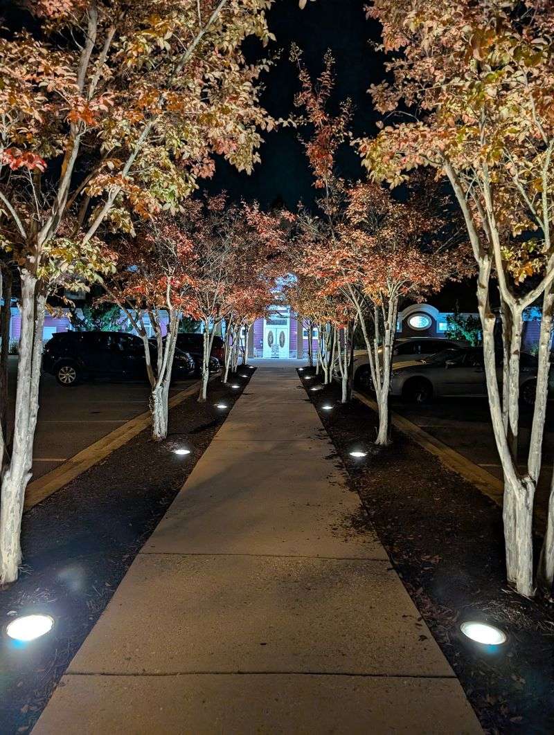 The Activity Center Where Evenings Come Alive