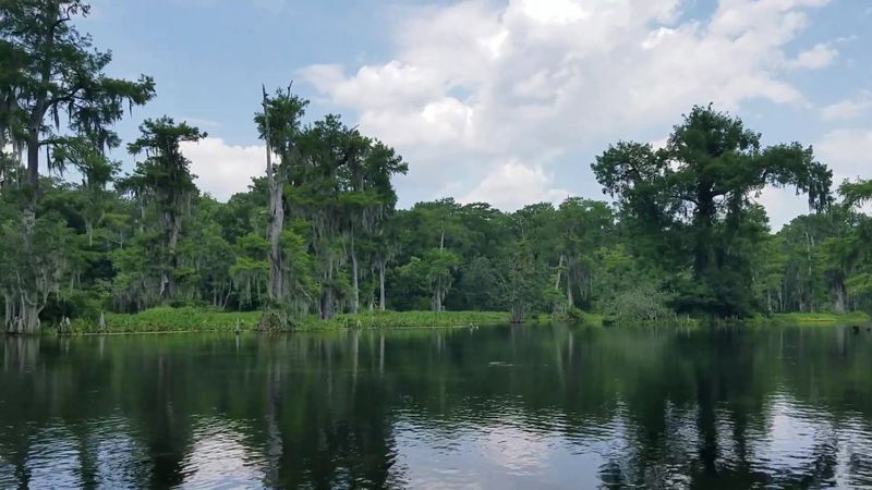 The Birthplace of the Wakulla River The Birthplace of the Wakulla River