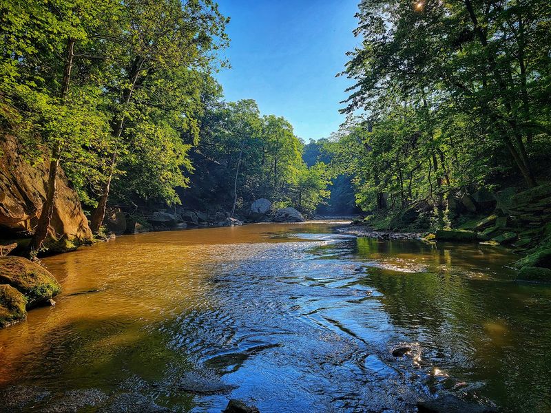 The Black River Brings the Whole Park to Life The Black River Brings the Whole Park to Life