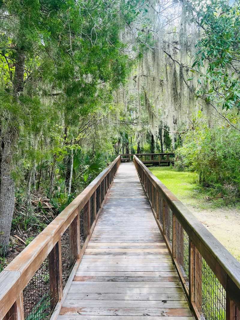 The Boardwalk That Puts You Right Above the Springs