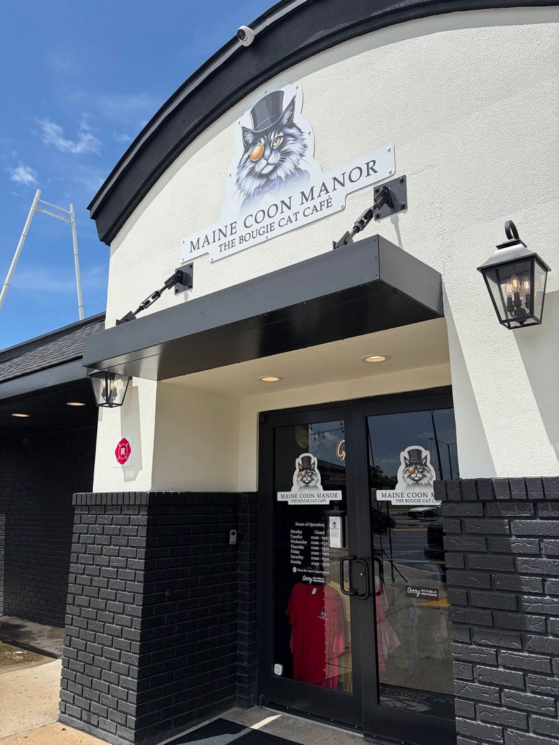 The Bougie Cat Cafe Reputation