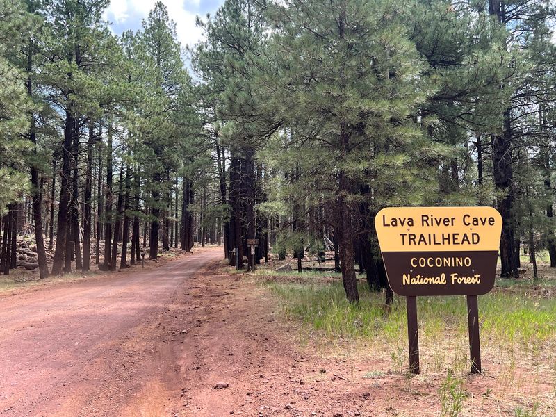 The Bumpy Road, the $5 Pass, and Other Nuts and Bolts
