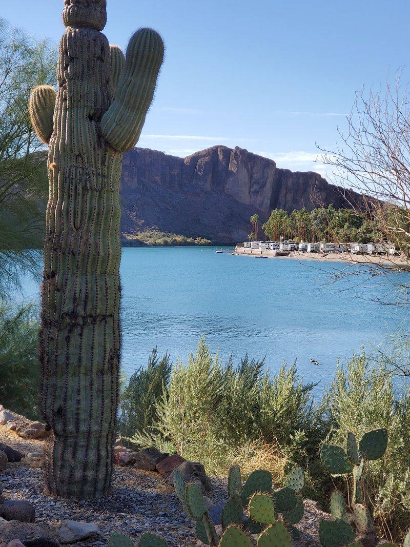 The Cactus Garden And Small Store Surprises The Cactus Garden And Small Store Surprises