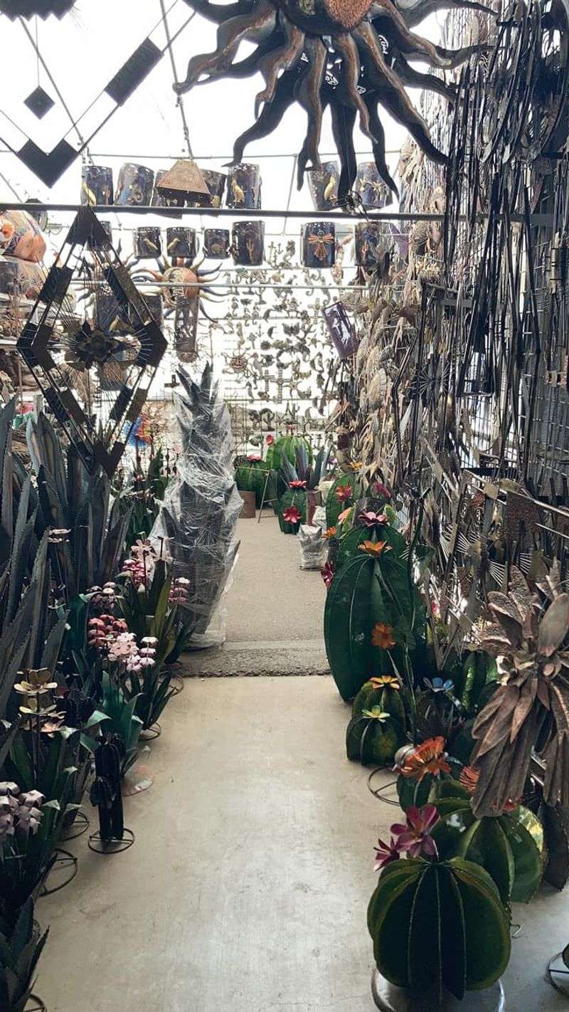 The Cactus Guy And Local Artisan Corners The Cactus Guy And Local Artisan Corners