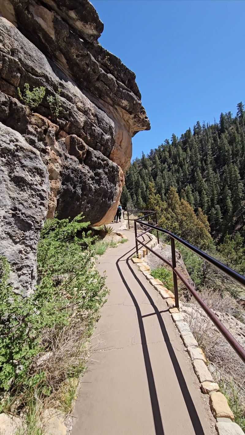 The Canyon Across The Seasons