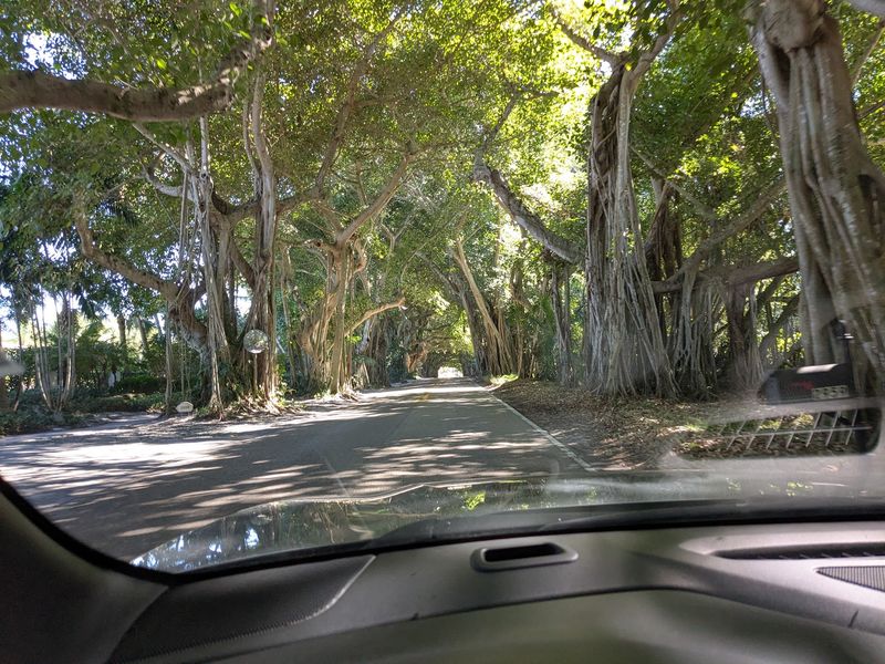 The Charm Of A Hidden Neighborhood Drive The Charm Of A Hidden Neighborhood Drive