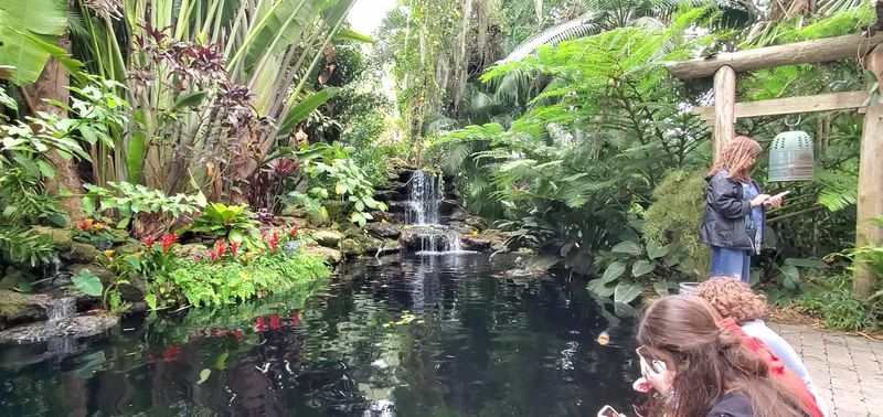 The Conservatory and Tropical Displays The Conservatory and Tropical Displays