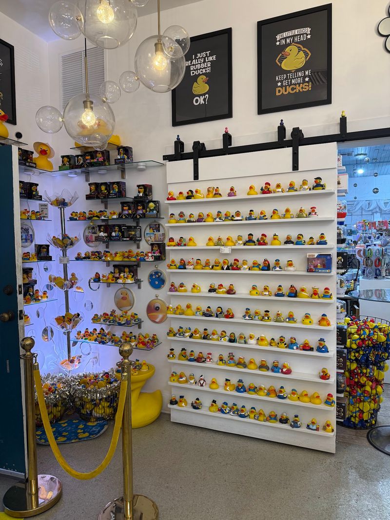 The Duck Shop Worth Browsing