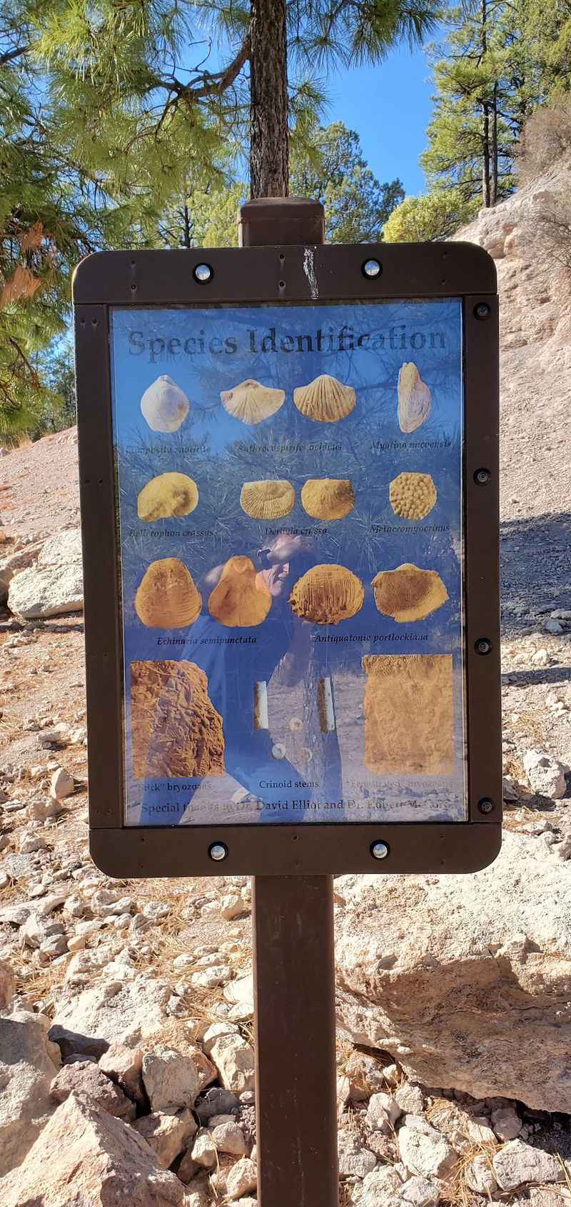 The Eagle Scout Sign That Guides Your Search The Eagle Scout Sign That Guides Your Search