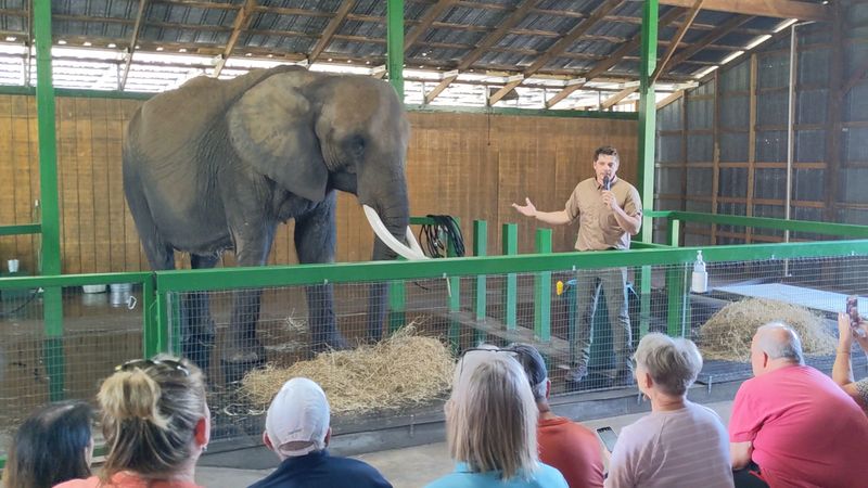 The Educational Encounter That Starts It All