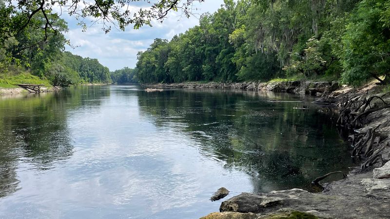 The Ellaville Trail Follows a Wooded River Corridor The Ellaville Trail Follows a Wooded River Corridor