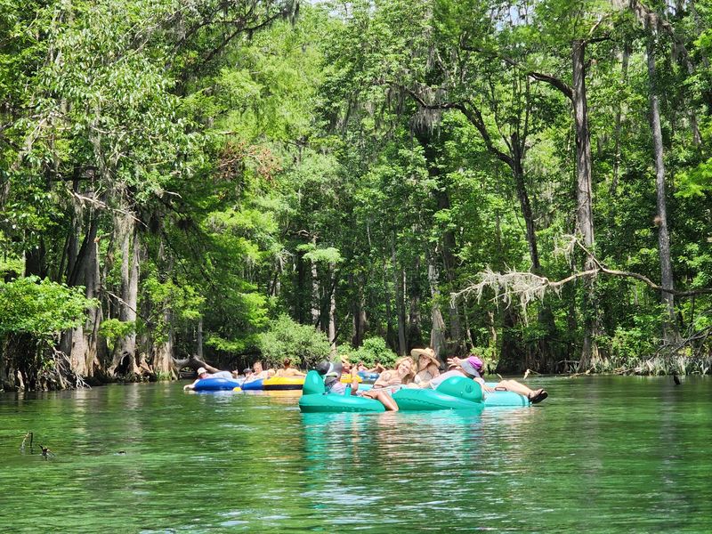 The Float That Everyone Talks About The Float That Everyone Talks About