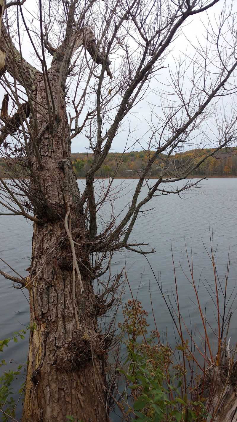 The Glacial Roots Behind The Water