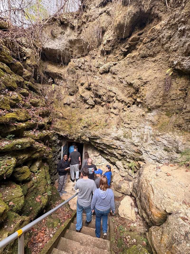 The Guided Tour That Steals the Show