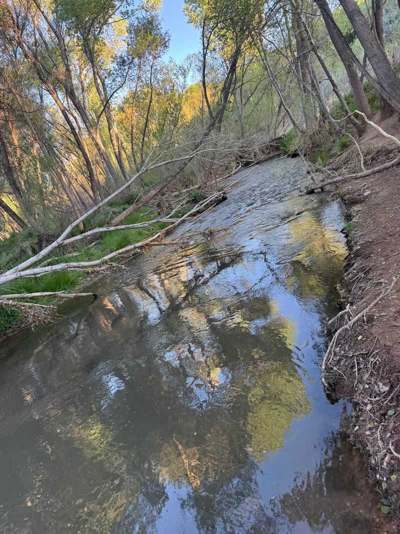 The Jail Trail Down To The Verde River