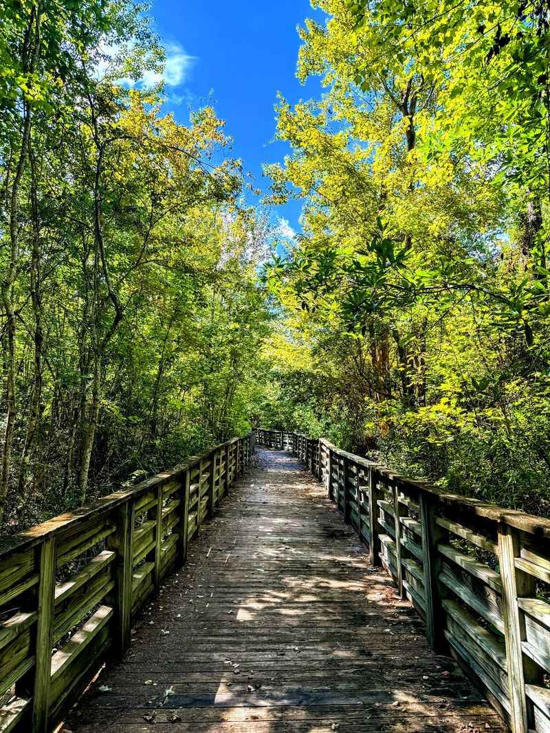 The Lake Trail and Its Winding Paths The Lake Trail and Its Winding Paths