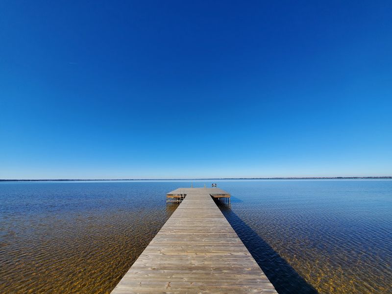 The Largest of the Carolina Bays The Largest of the Carolina Bays